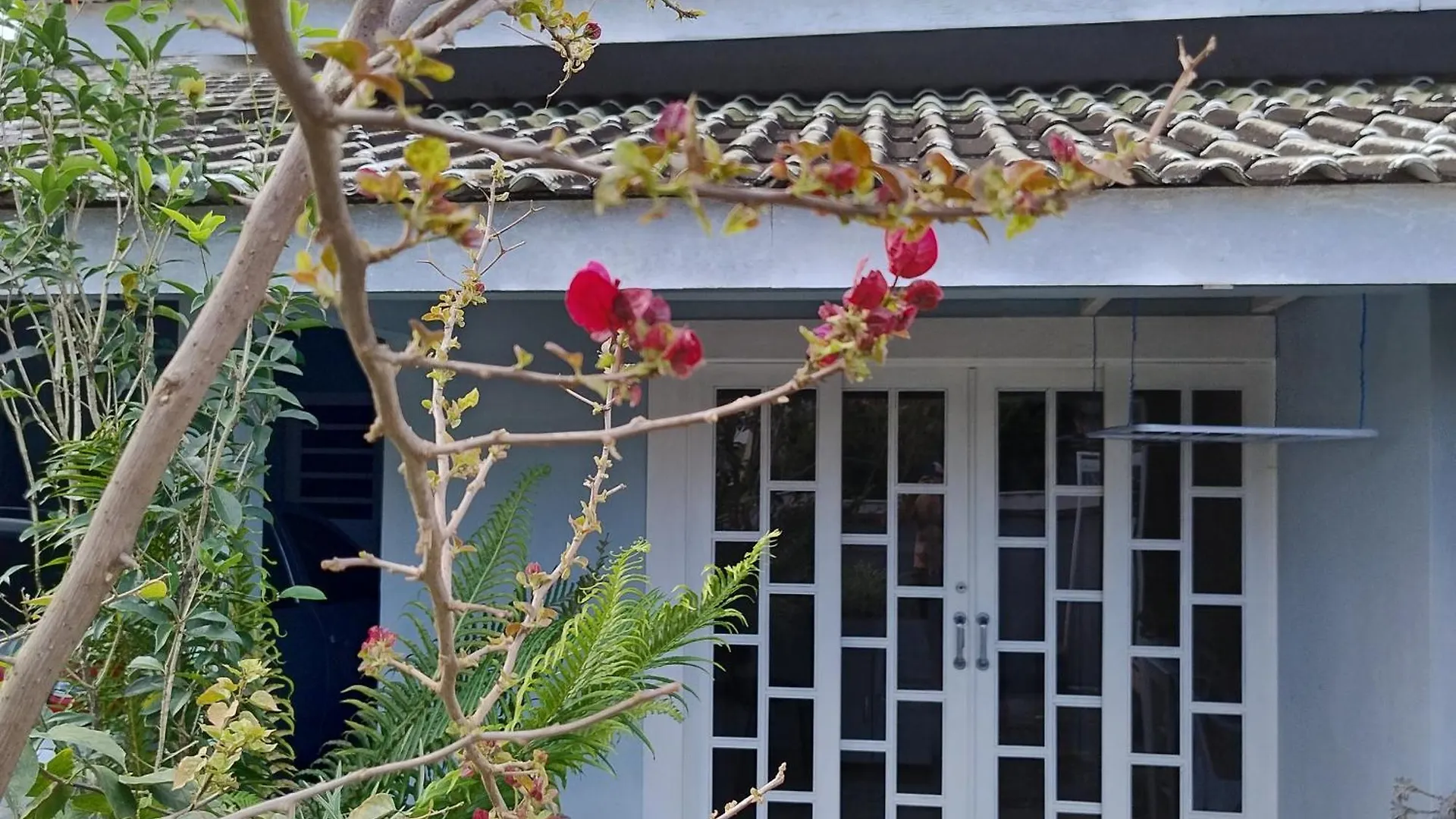Kitnet Bem Localizada No Bairro Costa E Silva Villa Joinville